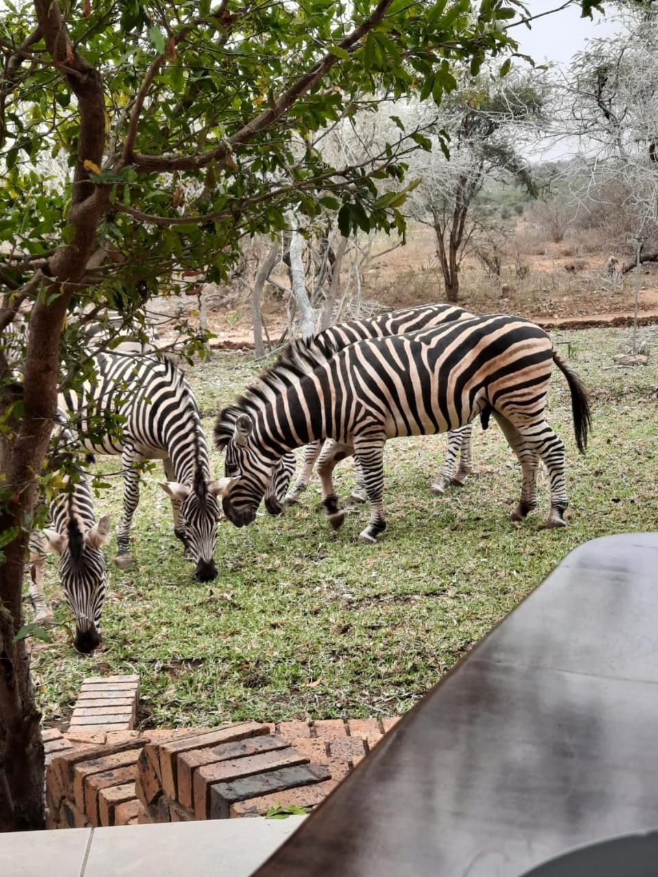 Kruger Riverside Lodge - No Load-Shedding Marloth Park Zewnętrze zdjęcie