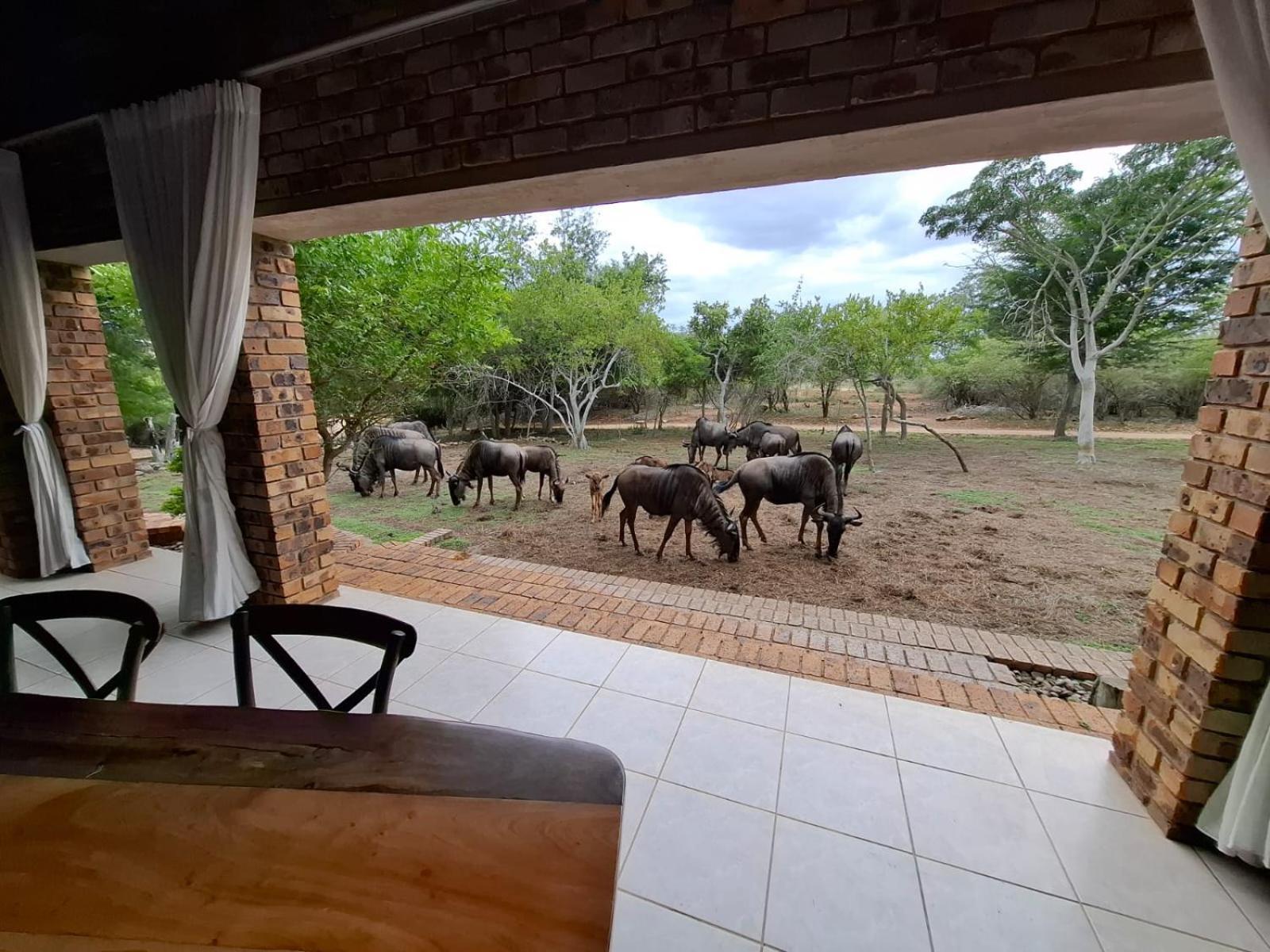 Kruger Riverside Lodge - No Load-Shedding Marloth Park Zewnętrze zdjęcie
