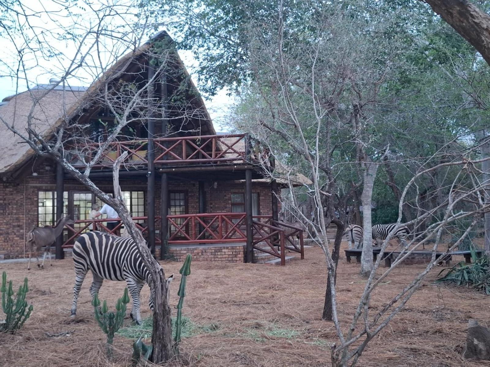 Kruger Riverside Lodge - No Load-Shedding Marloth Park Zewnętrze zdjęcie