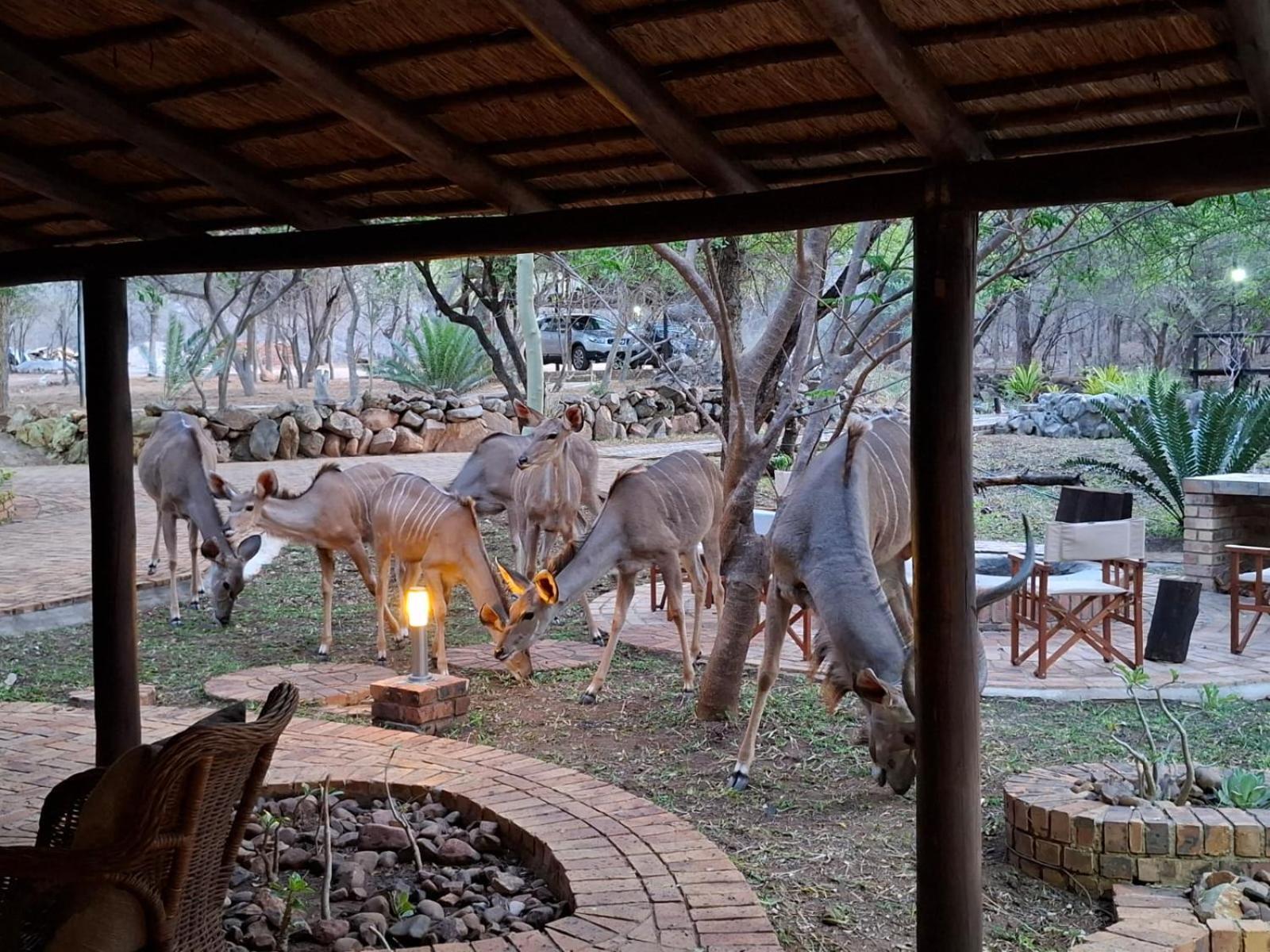 Kruger Riverside Lodge - No Load-Shedding Marloth Park Zewnętrze zdjęcie