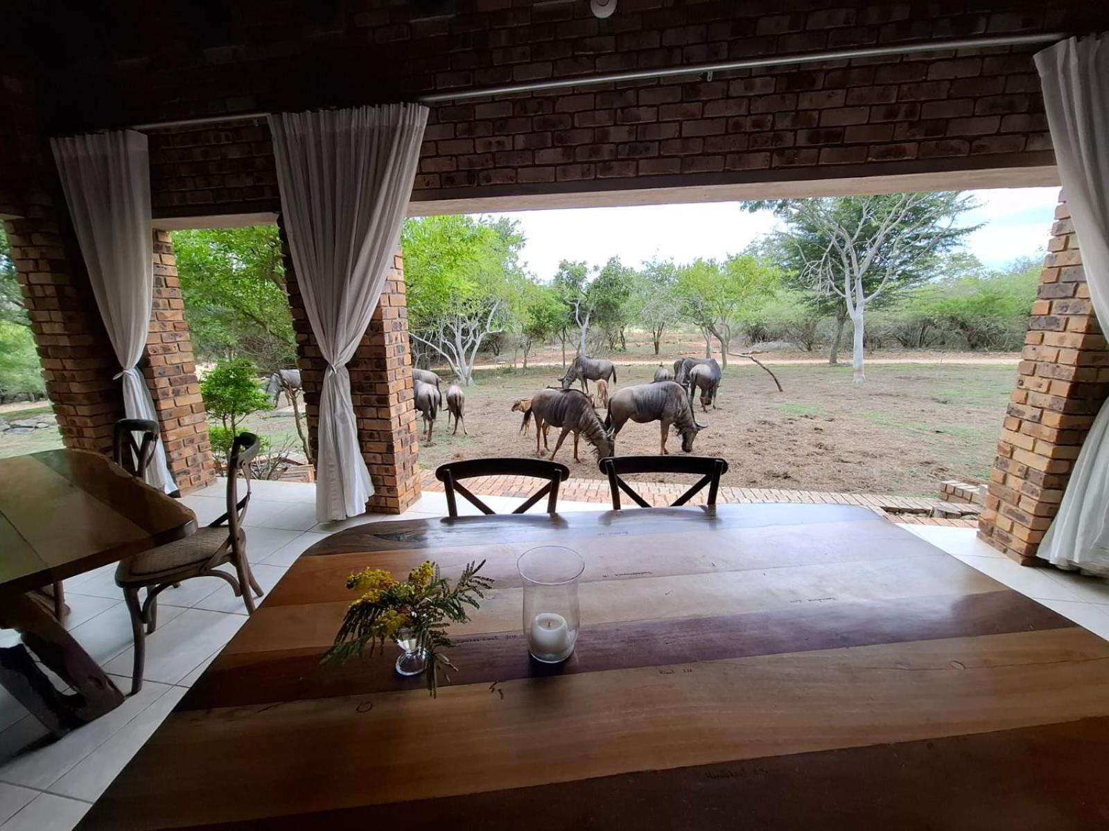 Kruger Riverside Lodge - No Load-Shedding Marloth Park Zewnętrze zdjęcie