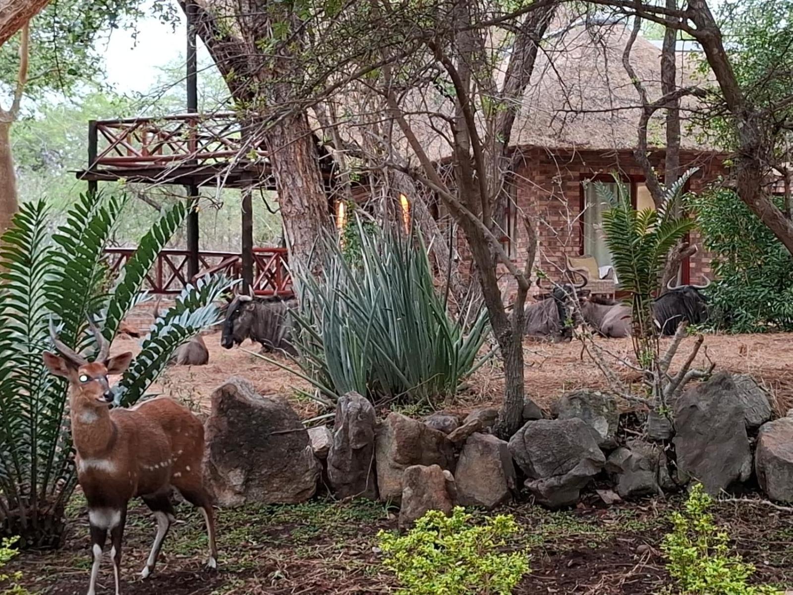 Kruger Riverside Lodge - No Load-Shedding Marloth Park Zewnętrze zdjęcie