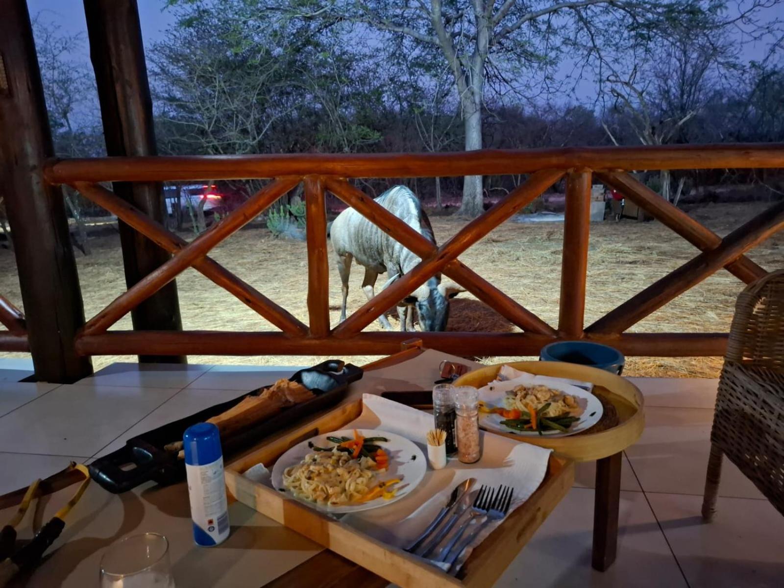 Kruger Riverside Lodge - No Load-Shedding Marloth Park Zewnętrze zdjęcie